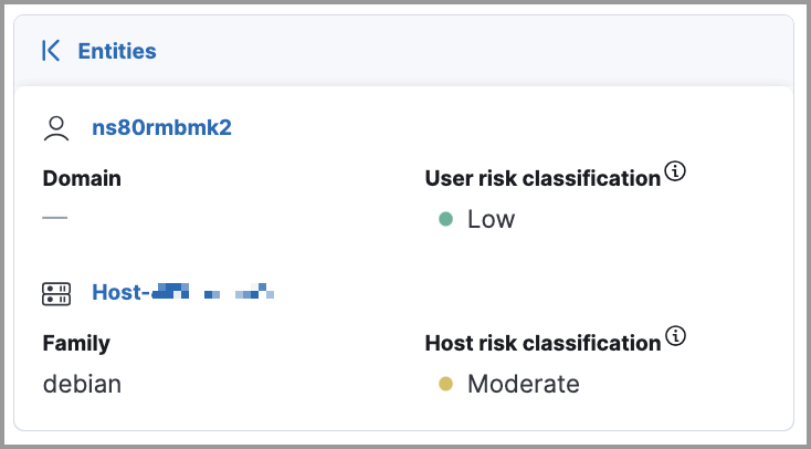 Overview of the entity details  section in the right panel